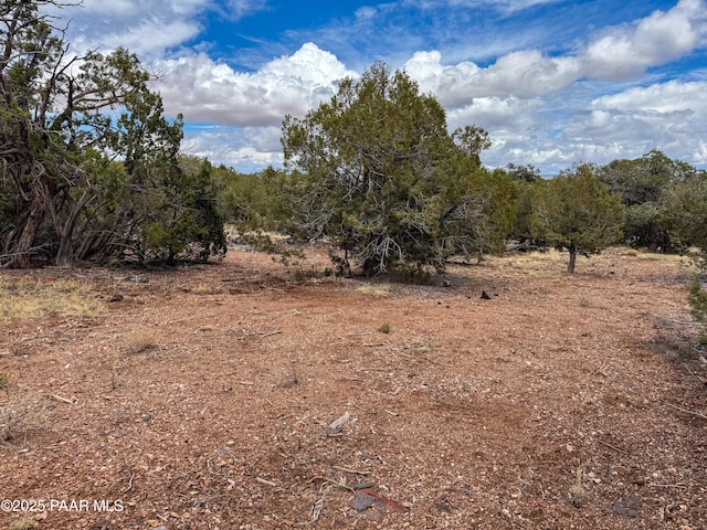 55409 Madre Cir, Seligman, AZ 86337 - view of undeveloped land
