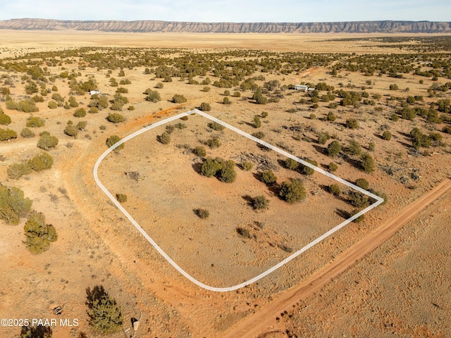 58945 N Tambor Rd, Seligman AZ, 86337 land for sale