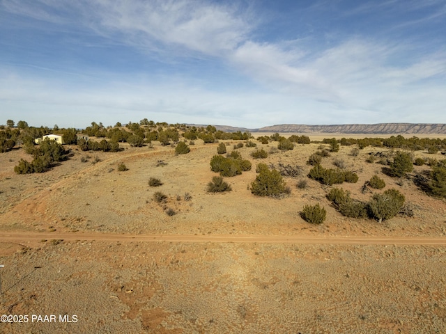 Listing photo 3 for 58945 N Tambor Rd, Seligman AZ 86337