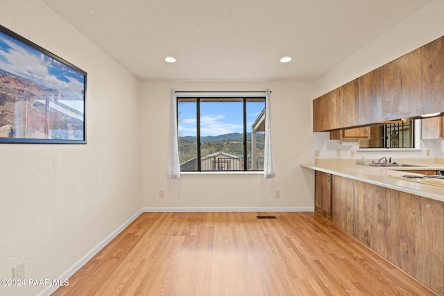 kitchen with a mountain view, light wood-type flooring, and sink