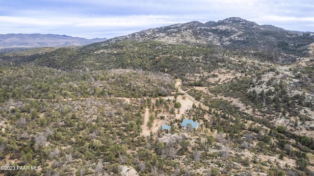 view of mountain feature