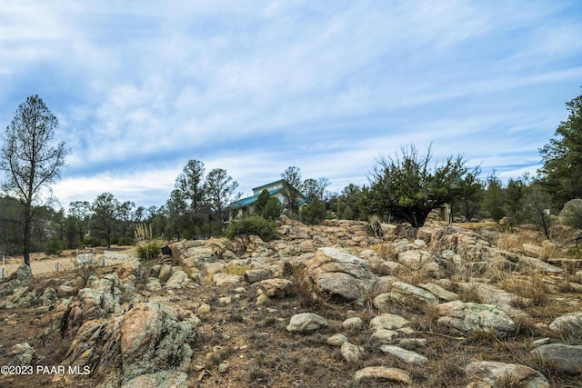 view of local wilderness