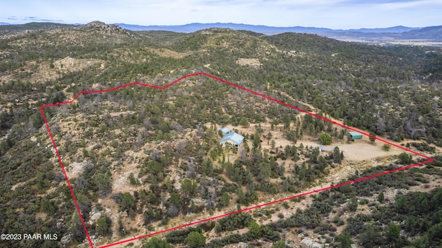 drone / aerial view featuring a mountain view