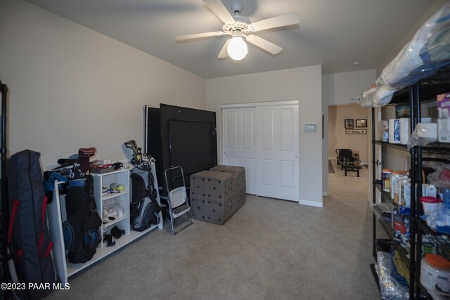 storage room featuring a ceiling fan