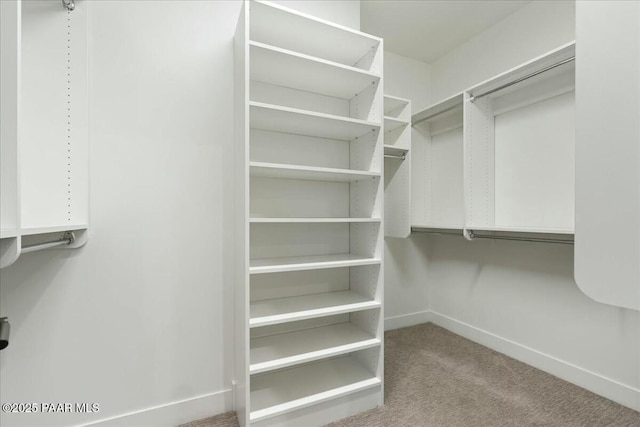 spacious closet featuring light colored carpet