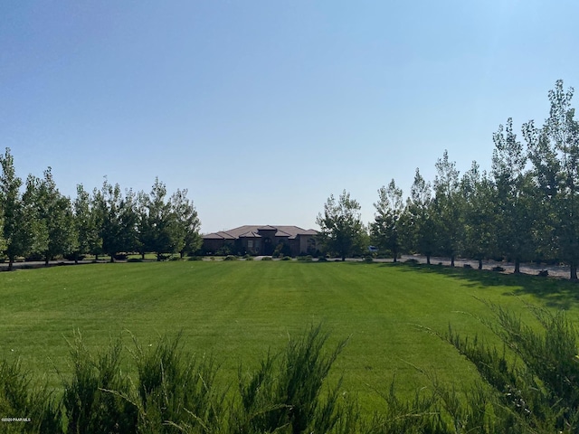 view of yard featuring a rural view