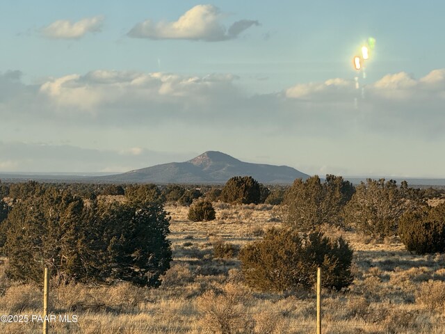 3169 E Judy Dr, Williams, AZ 86046 - photo 12