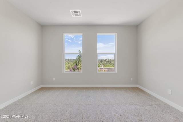 spare room featuring carpet flooring