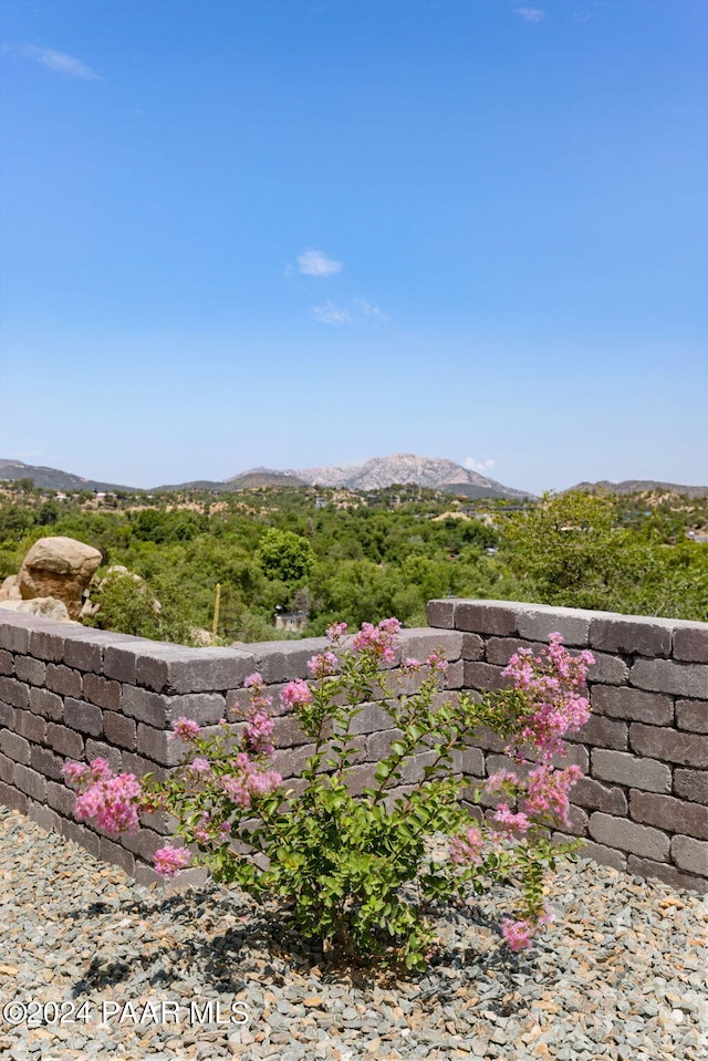 view of yard featuring a mountain view