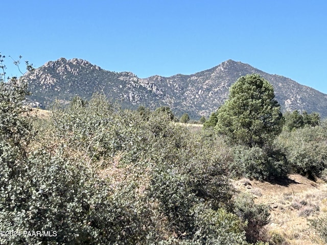 17424 S Juniper Dr, Peeples Valley, AZ 86332