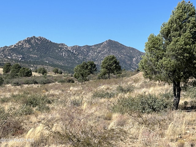 17424 S Juniper Dr, Peeples Valley AZ, 86332 land for sale