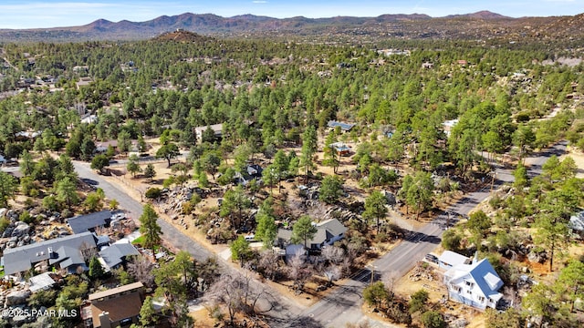 birds eye view of property with a mountain view