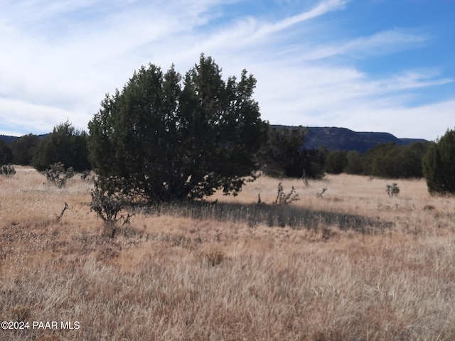 32381 W Montecito Ln, Seligman, AZ 86337 - photo 7