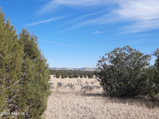 32381 W Montecito Ln, Seligman, AZ 86337 - photo 4