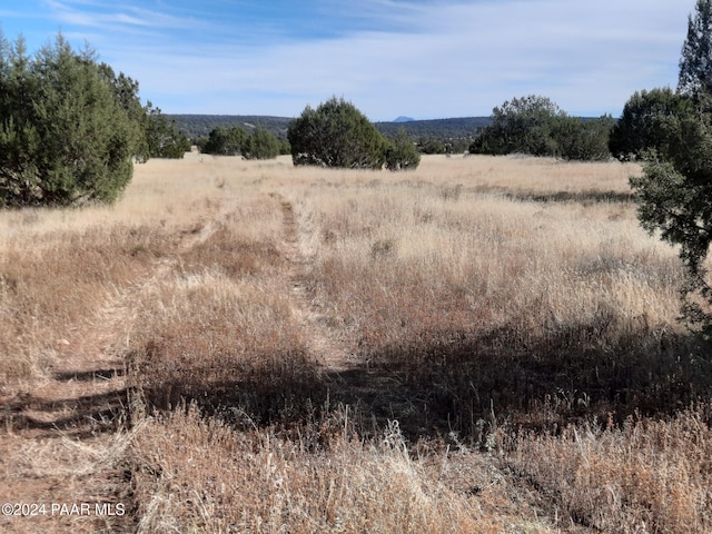 32381 W Montecito Ln, Seligman, AZ 86337 - photo 8
