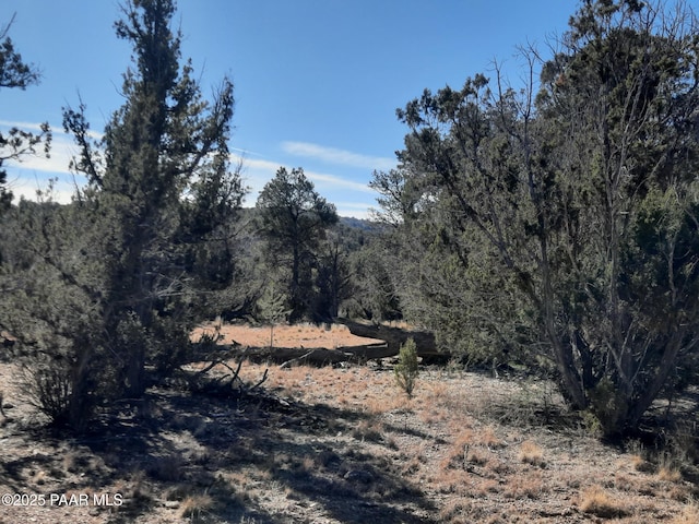 Listing photo 2 for LOT1497 Lion Canyon Dr, Seligman AZ 86337