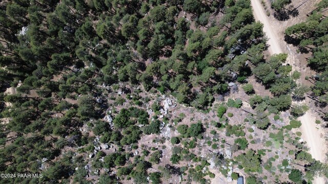 4825 W Vulture Bend Dr, Prescott, AZ 86305 - photo 6