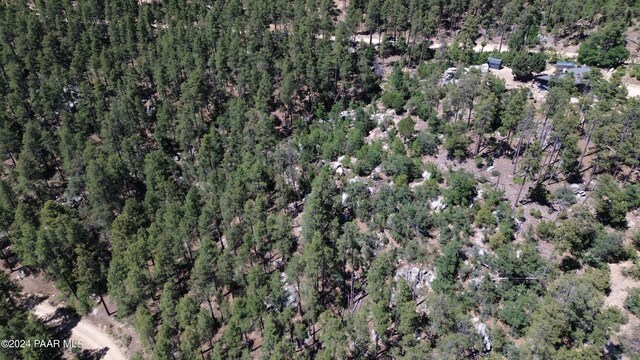 4825 W Vulture Bend Dr, Prescott, AZ 86305 - photo 8