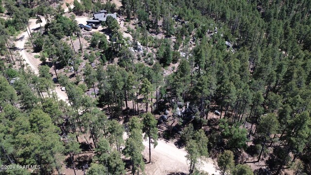 4825 W Vulture Bend Dr, Prescott, AZ 86305 - photo 4