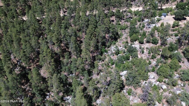 4825 W Vulture Bend Dr, Prescott, AZ 86305 - photo 5