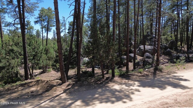 4825 W Vulture Bend Dr, Prescott, AZ 86305 - photo 10