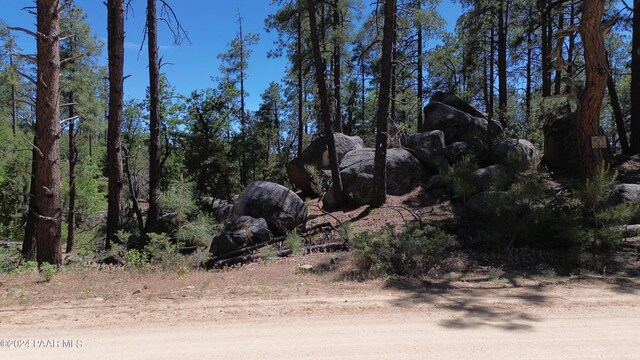 4825 W Vulture Bend Dr, Prescott, AZ 86305 - photo 9