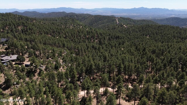 4825 W Vulture Bend Dr, Prescott, AZ 86305 - photo 7