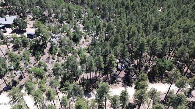 4825 W Vulture Bend Dr, Prescott, AZ 86305 - photo 2