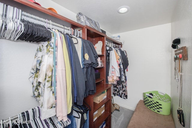 spacious closet featuring carpet flooring