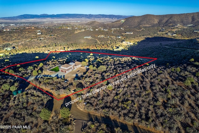 aerial view with a mountain view