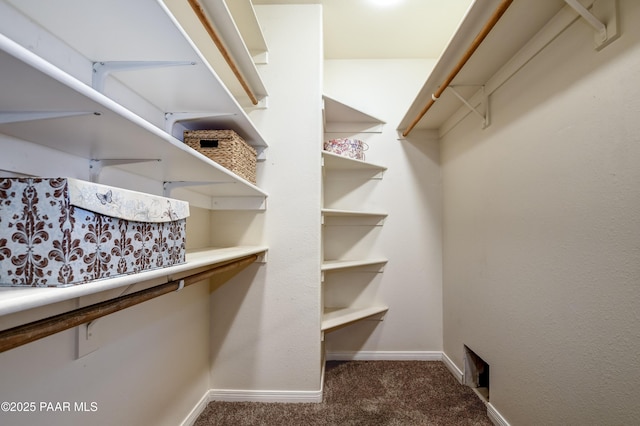 spacious closet featuring carpet flooring