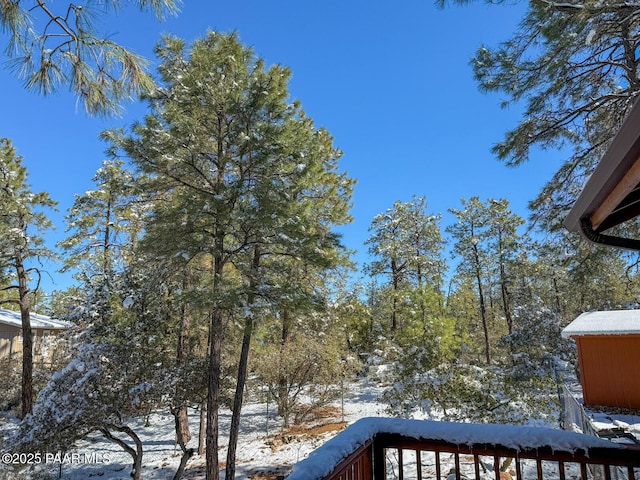 view of yard covered in snow