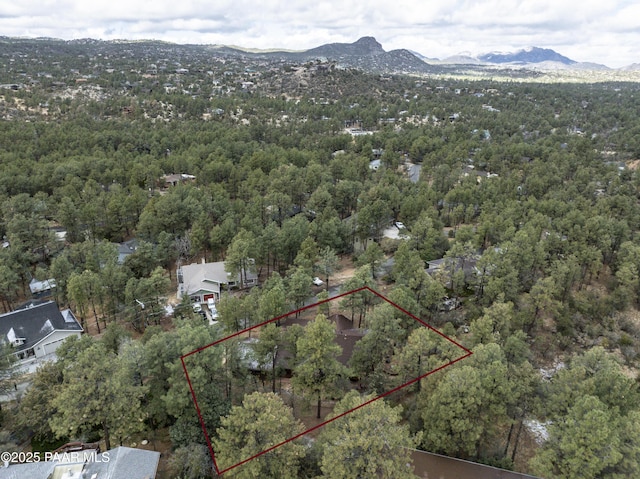 aerial view with a mountain view and a view of trees