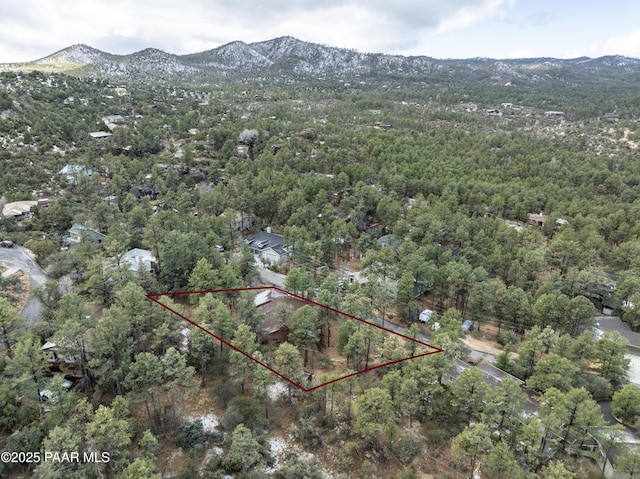 drone / aerial view featuring a mountain view and a forest view