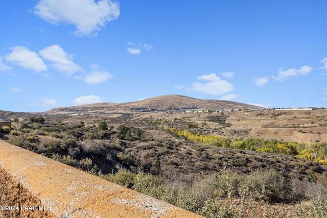 view of mountain feature