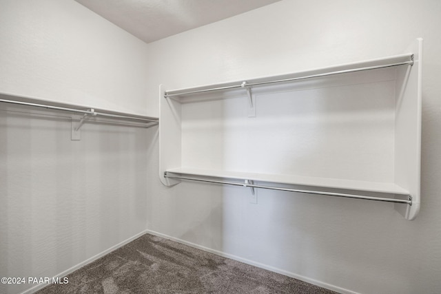 walk in closet featuring carpet flooring