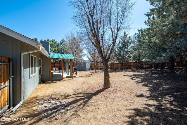 view of yard with a fenced backyard, a patio, an outbuilding, and a storage shed