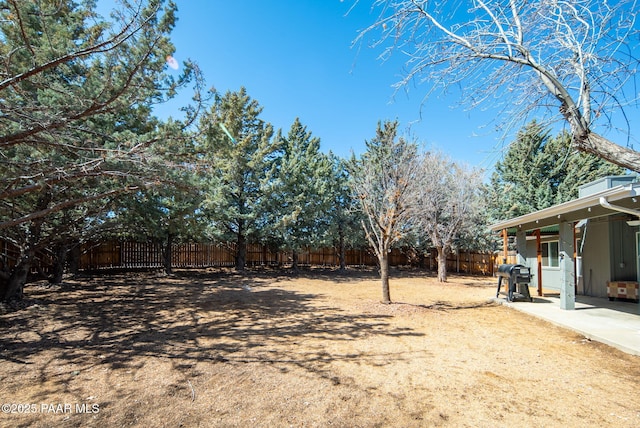 view of yard featuring a patio and a fenced backyard