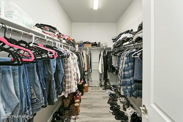 spacious closet featuring wood finished floors