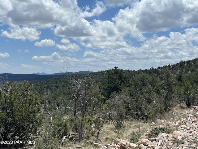 view of mountain feature