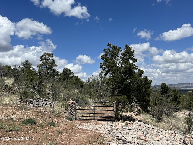 view of gate