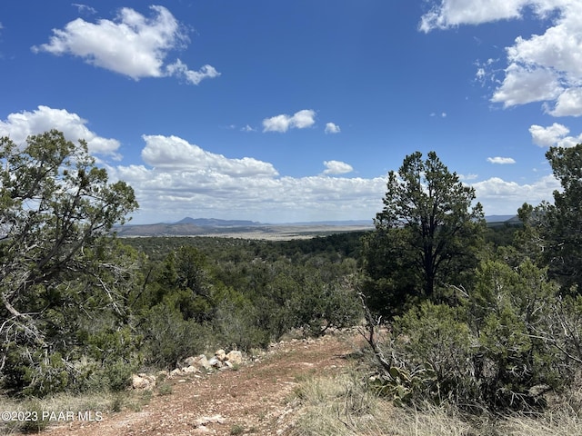 property view of mountains