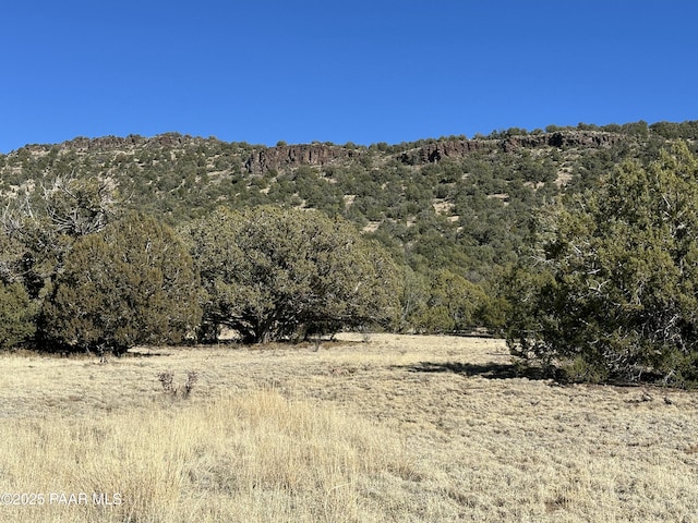 942 N Lily Mountain Dr, Seligman AZ, 86337 land for sale