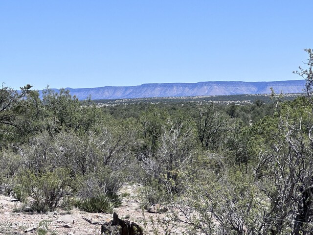 J Peacefull Hill Rd, Seligman, AZ 86337 - photo 6
