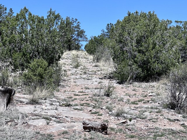 J Peacefull Hill Rd, Seligman, AZ 86337 - photo 7
