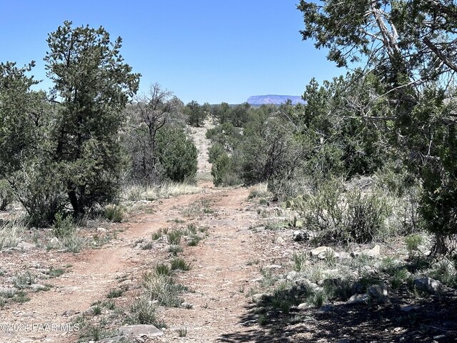 J Peacefull Hill Rd, Seligman, AZ 86337 - photo 9