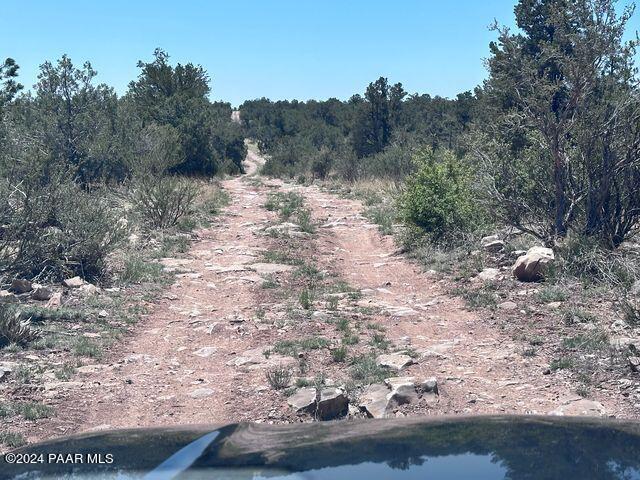J Peacefull Hill Rd, Seligman, AZ 86337 - photo 16
