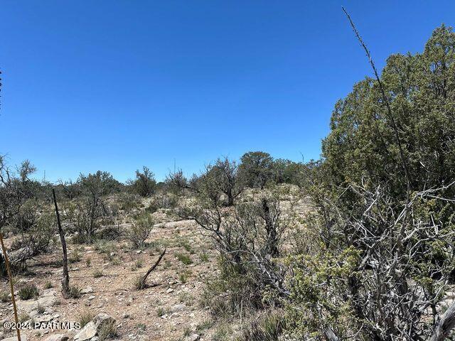 J Peacefull Hill Rd, Seligman, AZ 86337 - photo 12