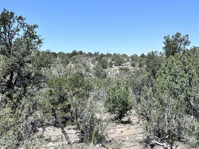 J Peacefull Hill Rd, Seligman, AZ 86337 - photo 10