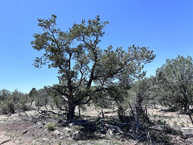 J Peacefull Hill Rd, Seligman, AZ 86337 - photo 11